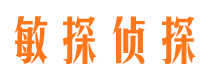 麦盖提敏探私家侦探公司